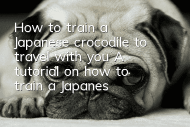 How to train a Japanese crocodile to travel with you? A tutorial on how to train a Japanese crocodile to travel with you