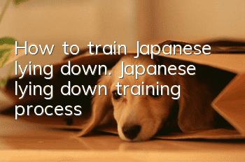 How to train Japanese lying down. Japanese lying down training process