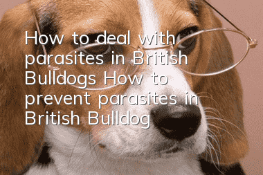 How to deal with parasites in British Bulldogs How to prevent parasites in British Bulldogs