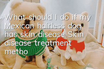 What should I do if my Mexican hairless dog has skin disease? Skin disease treatment methods
