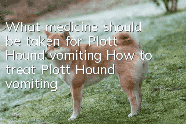 What medicine should be taken for Plott Hound vomiting? How to treat Plott Hound vomiting?