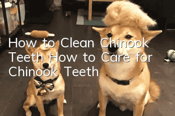 How to Clean Chinook Teeth How to Care for Chinook Teeth