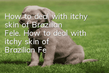 How to deal with itchy skin of Brazilian Fele. How to deal with itchy skin of Brazilian Fele.