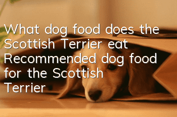 What dog food does the Scottish Terrier eat? Recommended dog food for the Scottish Terrier
