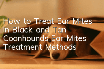 How to Treat Ear Mites in Black and Tan Coonhounds Ear Mites Treatment Methods
