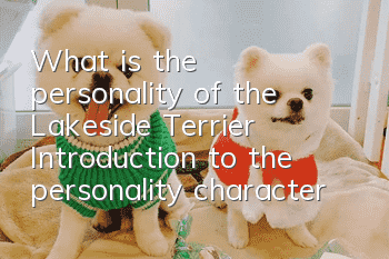 What is the personality of the Lakeside Terrier? Introduction to the personality characteristics of the Lakeside Terrier