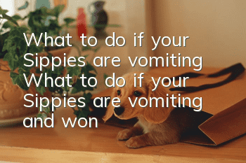What to do if your Sippies are vomiting? What to do if your Sippies are vomiting and won’t eat?
