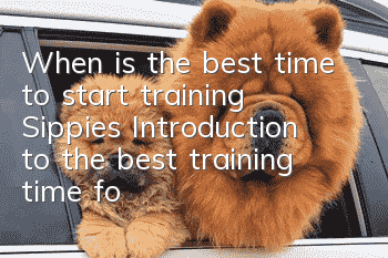 When is the best time to start training Sippies? Introduction to the best training time for Sippies