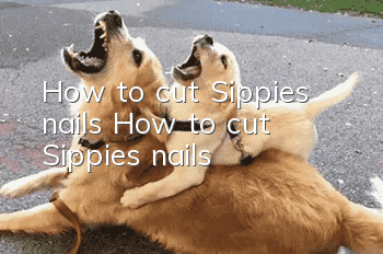 How to cut Sippies nails How to cut Sippies nails