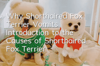 Why Shorthaired Fox Terrier Vomits? Introduction to the Causes of Shorthaired Fox Terrier Vomiting