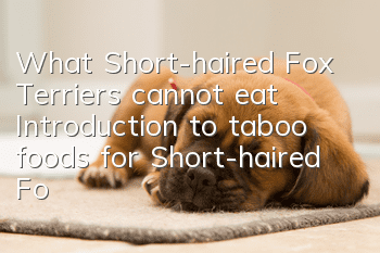 What Short-haired Fox Terriers cannot eat? Introduction to taboo foods for Short-haired Fox Terriers
