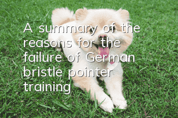 A summary of the reasons for the failure of German bristle pointer training