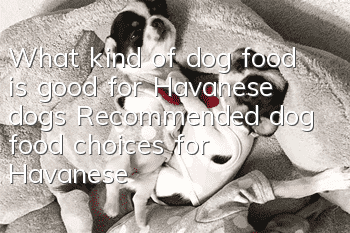 What kind of dog food is good for Havanese dogs? Recommended dog food choices for Havanese dogs
