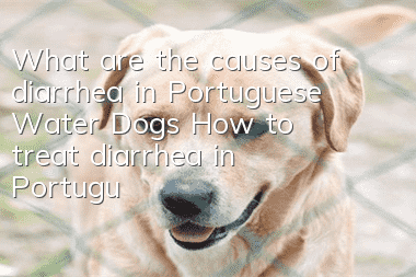 What are the causes of diarrhea in Portuguese Water Dogs? How to treat diarrhea in Portuguese Water Dogs?