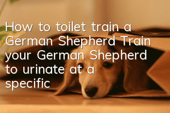 How to toilet train a German Shepherd? Train your German Shepherd to urinate at a specific location!
