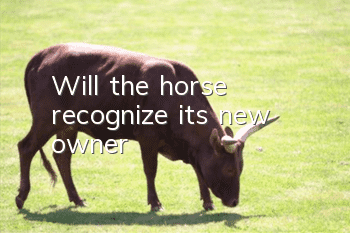 Will the horse recognize its new owner?