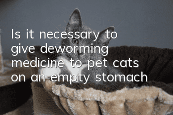 Is it necessary to give deworming medicine to pet cats on an empty stomach?