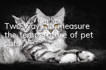 Two ways to measure the temperature of pet cats