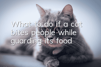 What to do if a cat bites people while guarding its food?