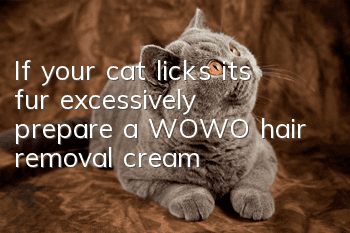 If your cat licks its fur excessively, prepare a WOWO hair removal cream!