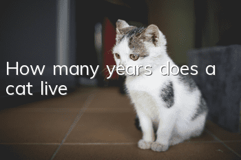 How many years does a cat live?