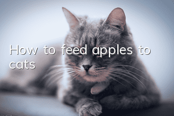 How to feed apples to cats?