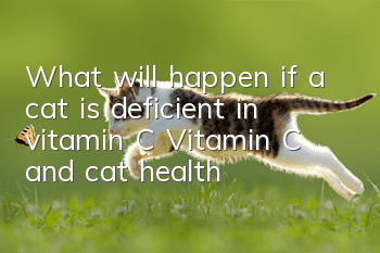 What will happen if a cat is deficient in vitamin C? Vitamin C and cat health!