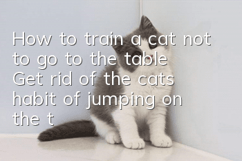 How to train a cat not to go to the table? Get rid of the cat’s habit of jumping on the table!