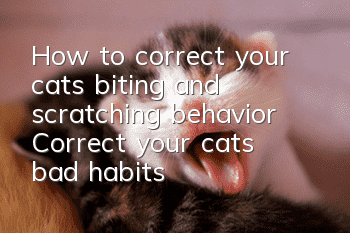 How to correct your cat’s biting and scratching behavior? Correct your cat’s bad habits!
