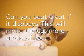 Can you beat a cat if it disobeys? This will make the cat more afraid of you.