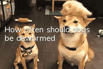 How often should dogs be dewormed?