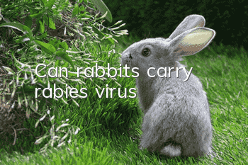 Can rabbits carry rabies virus?