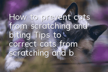 How to prevent cats from scratching and biting? Tips to correct cats from scratching and biting!