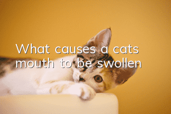 What causes a cat’s mouth to be swollen?