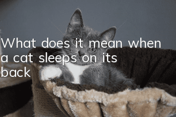 What does it mean when a cat sleeps on its back?