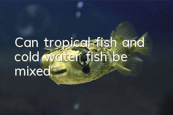 Can tropical fish and cold water fish be mixed?