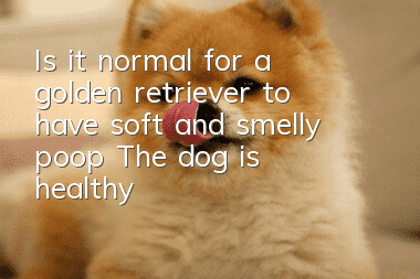 Is it normal for a golden retriever to have soft and smelly poop? The dog is healthy!