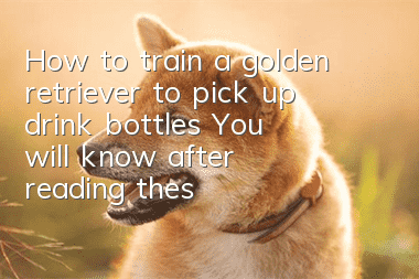 How to train a golden retriever to pick up drink bottles? You will know after reading these steps!
