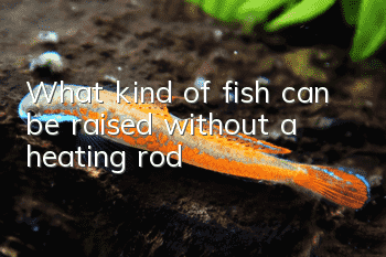 What kind of fish can be raised without a heating rod?