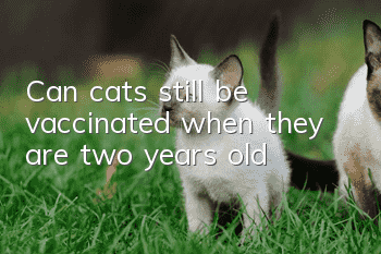 Can cats still be vaccinated when they are two years old?