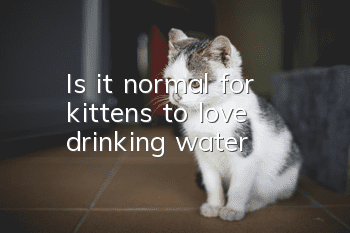 Is it normal for kittens to love drinking water?