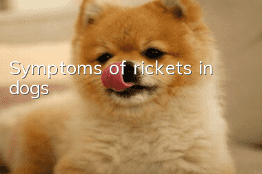 Symptoms of rickets in dogs