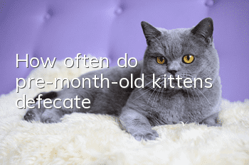 How often do pre-month-old kittens defecate?