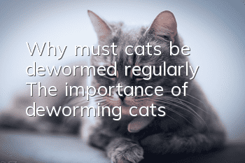 Why must cats be dewormed regularly? The importance of deworming cats!