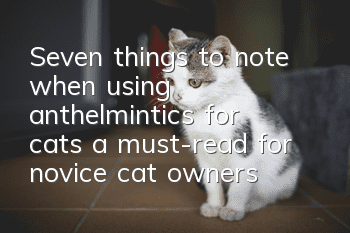 Seven things to note when using anthelmintics for cats, a must-read for novice cat owners!