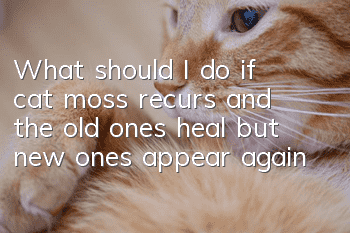 What should I do if cat moss recurs and the old ones heal but new ones appear again?