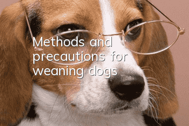 Methods and precautions for weaning dogs