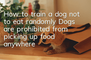 How to train a dog not to eat randomly? Dogs are prohibited from picking up food anywhere!