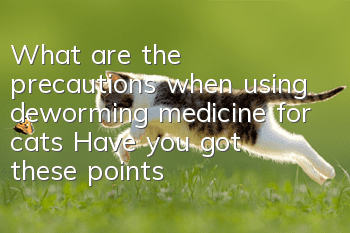 What are the precautions when using deworming medicine for cats? Have you got these points?