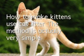 How to make kittens use cat litter? The method is actually very simple!
